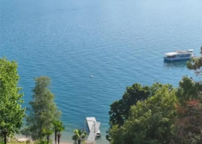 Camelie With Private * 巴韦诺