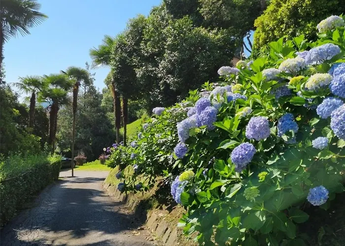 Camelie With Private Μπαβένο