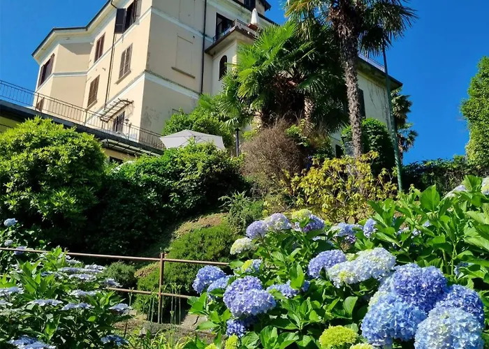 Camelie With Private 巴韦诺